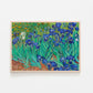Irises 1889 by Vincent Van Gogh