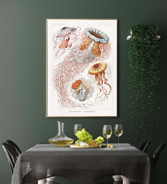 Ernst Haeckel Wall Art - Discomedusae III by Ernst Haeckel Poster