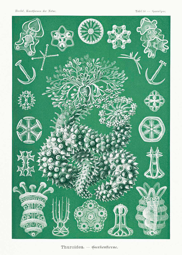 Green Vibes Set of 3 Prints