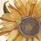 Ancient Vintage sunflower | 17th century Giclée fine art print | Golden flower | Modern Vintage decor | Eco-friendly gift