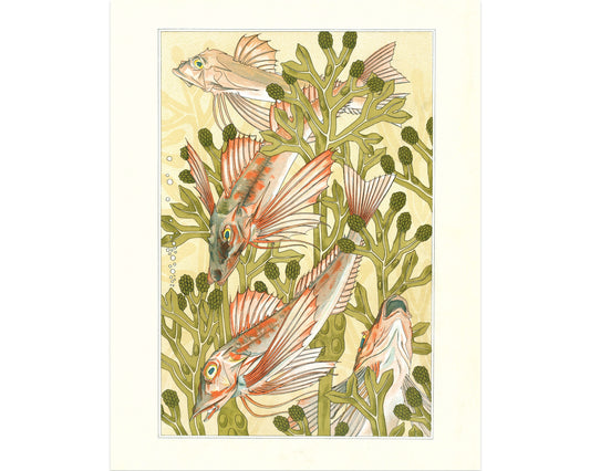 Art nouveau Fish | Red mullet art | Verneuil L'animal dans la Décoration | Natural History print | Modern vintage décor | Eco-friendly gift