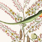 Antique lizard art | 18th century Mark Catesby | Vintage Natural History | Water, jungle animal | Animal wall art | Modern vintage decor