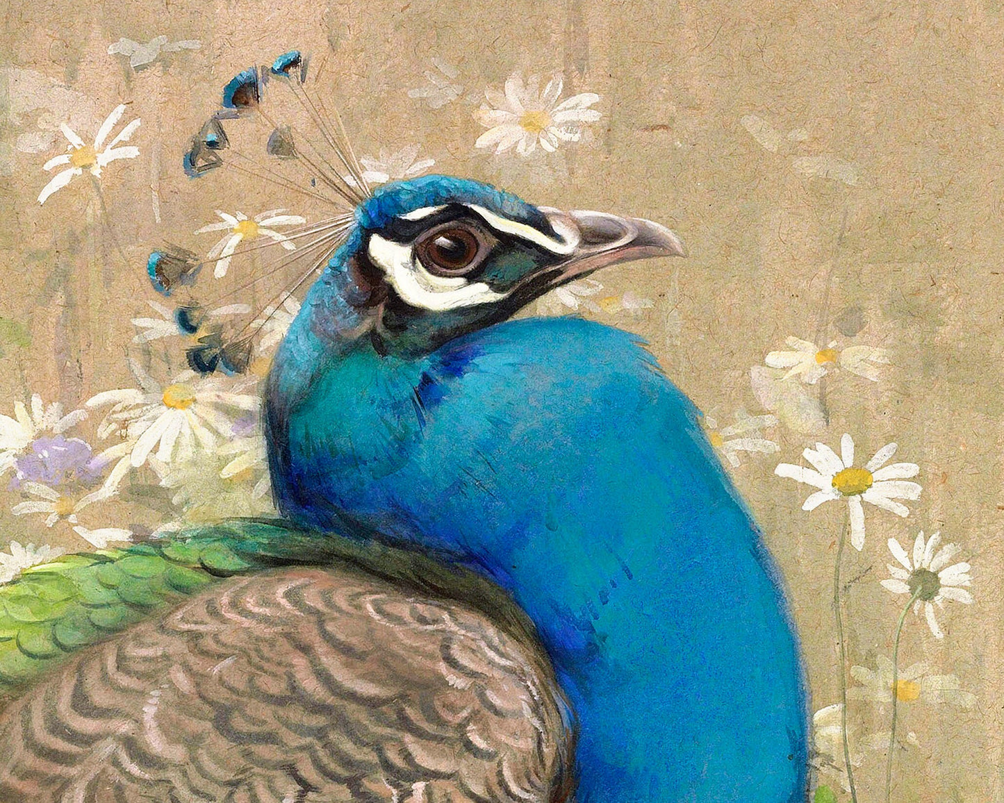Vintage peacock in daisies print | Decorative bird fine art | Marguerites flowers painting | Bird and flower wall art | Exotic animal art