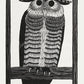 Horned owl (Hoornuil) (1915) by Samuel Jessurun de Mesquita