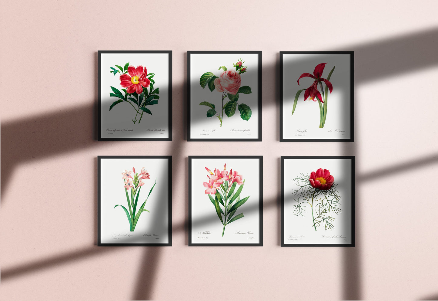 Vintage Flower Posters - Set of 6