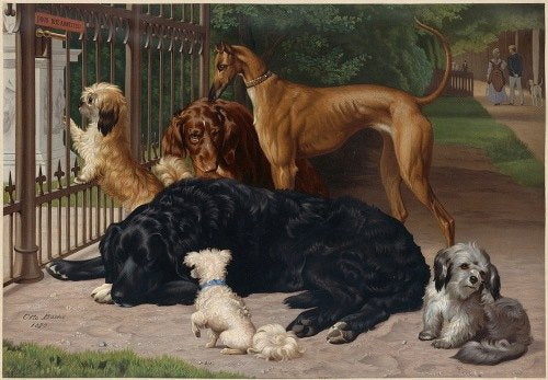 Dogs Not Admitted (ca. 1861–1897)