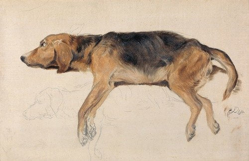 Study of a Dog Lying Down (1860)