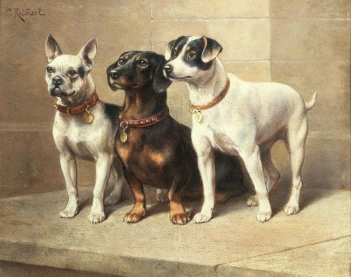 Three watchful dogs
