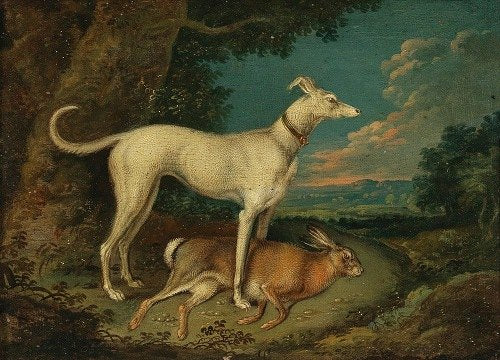 A hunting dog with a rabbit