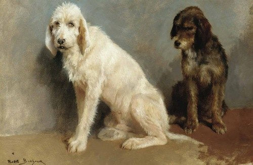 Study Of Two Dogs