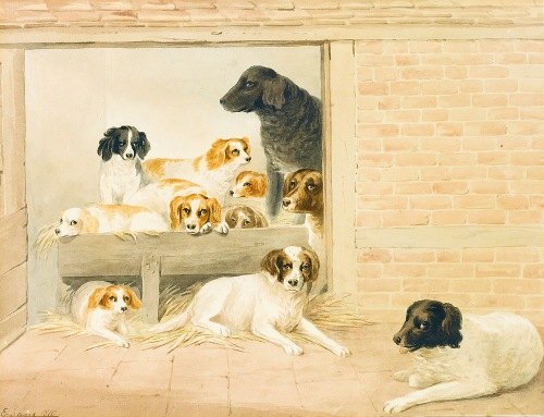 A Family Of Dogs (1810)