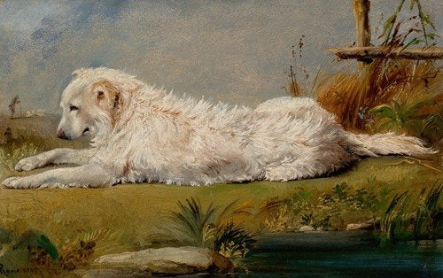 The Family Dog (1860)