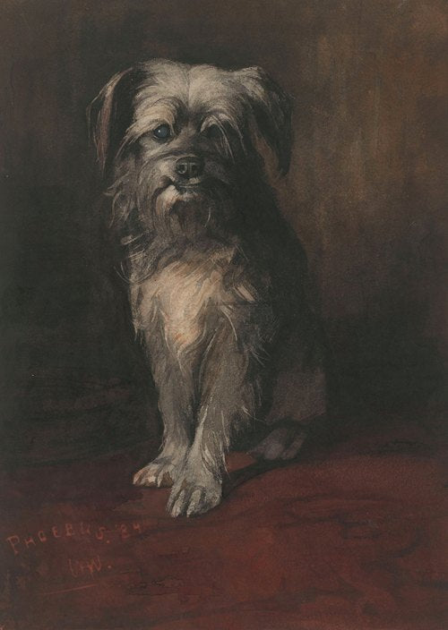 Portrait of the Dog Phoebus (1884)