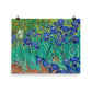 Vincent Van Gogh Irises 1889 - Digital Download Wall Art