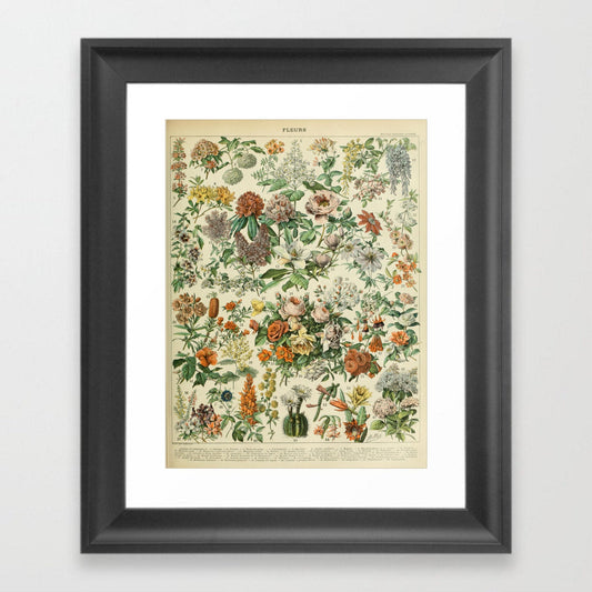 Fleurs C - Vintage Botanical Illustration - Print at Home Wall Art