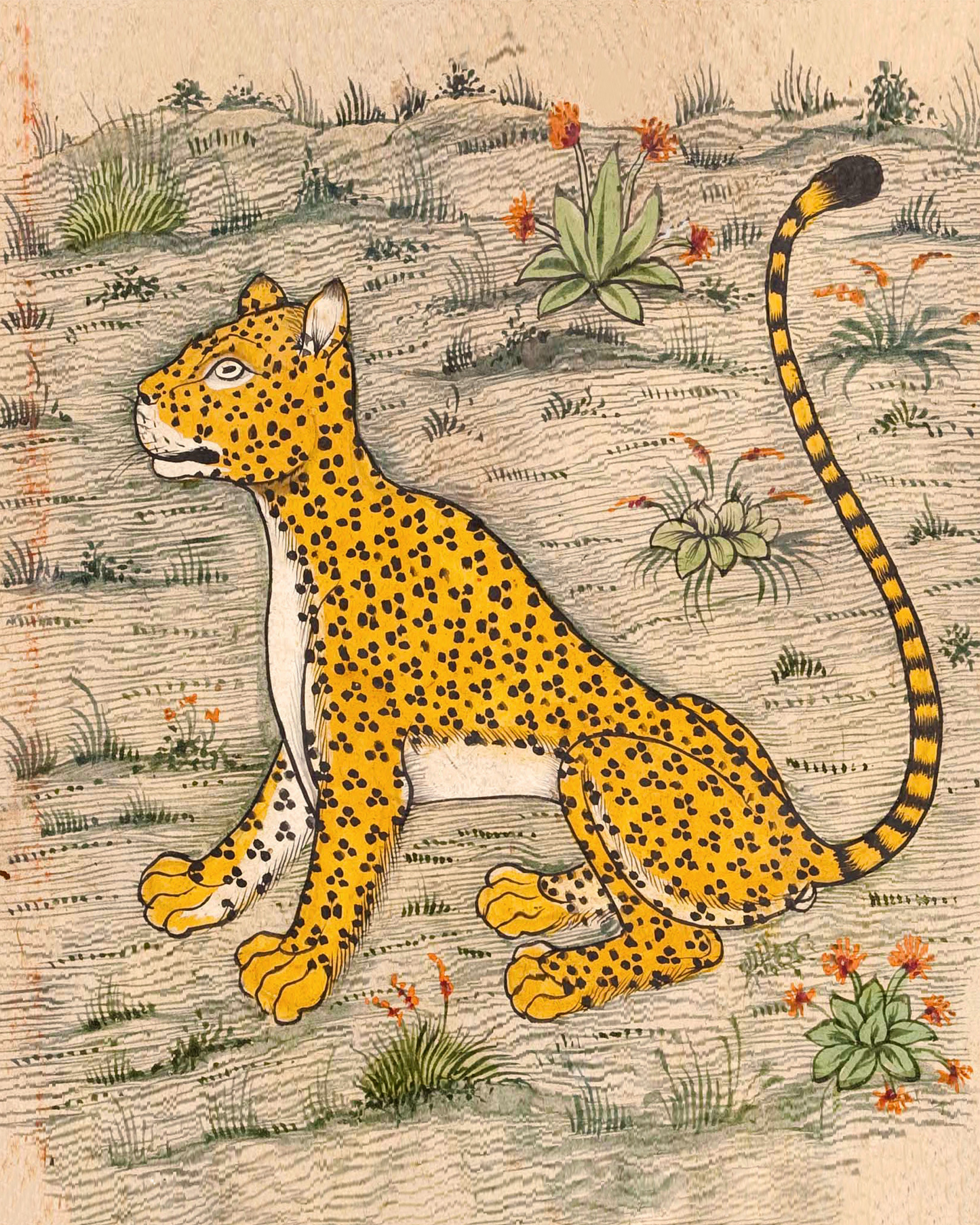Vintage leopard art print | Persian manuscript illustration | Farah’s Encyclopedia of Nature | Vintage Asian animal wall art | Eastern art