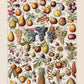 Fruits & Vegetables Set of 2 Art Prints
