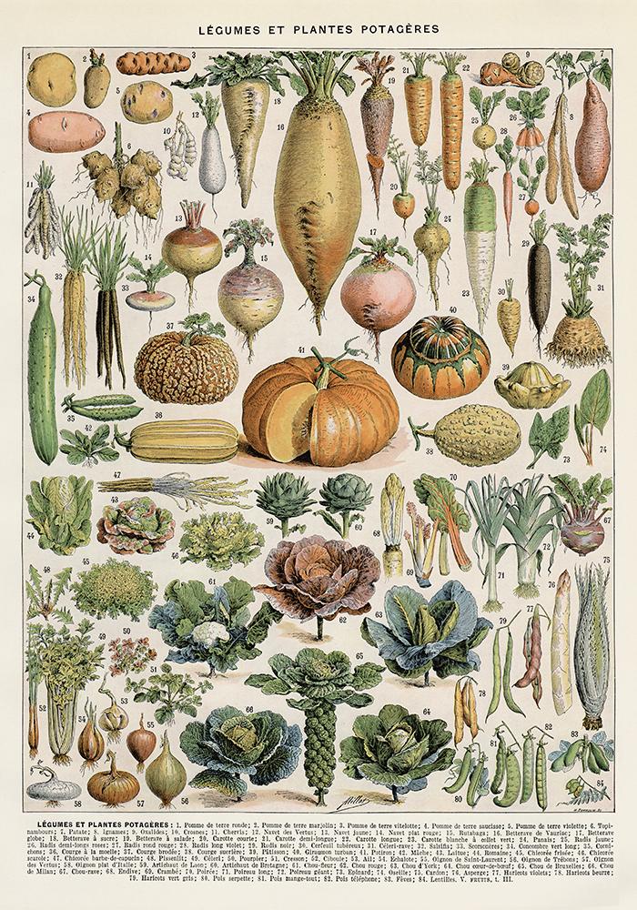 Fruits & Vegetables Set of 2 Art Prints