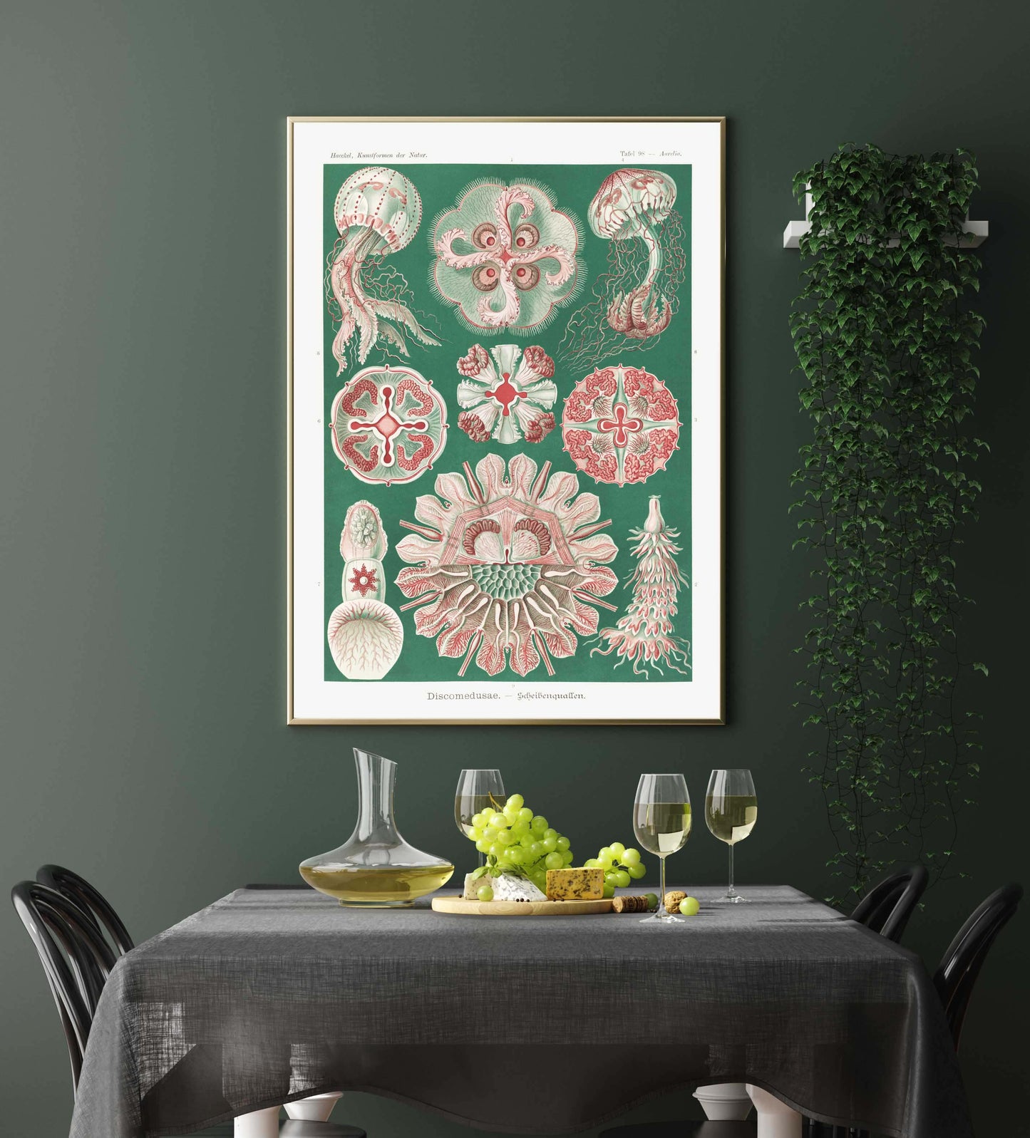 Ernst Haeckel Wall Art - Discomedusae Green Pink by Ernst Haeckel Poster with borders