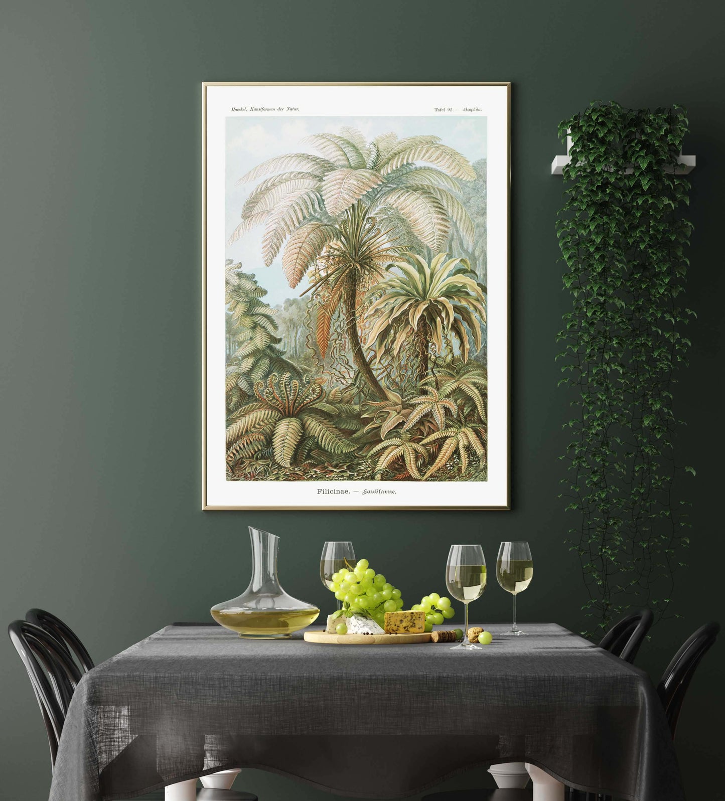 Ernst Haeckel Wall Art - Filicinae Palm Tree by Ernst Haeckel Poster with borders