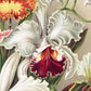 Orchids (Orchideae–Denusblumen) By Ernst Haeckel