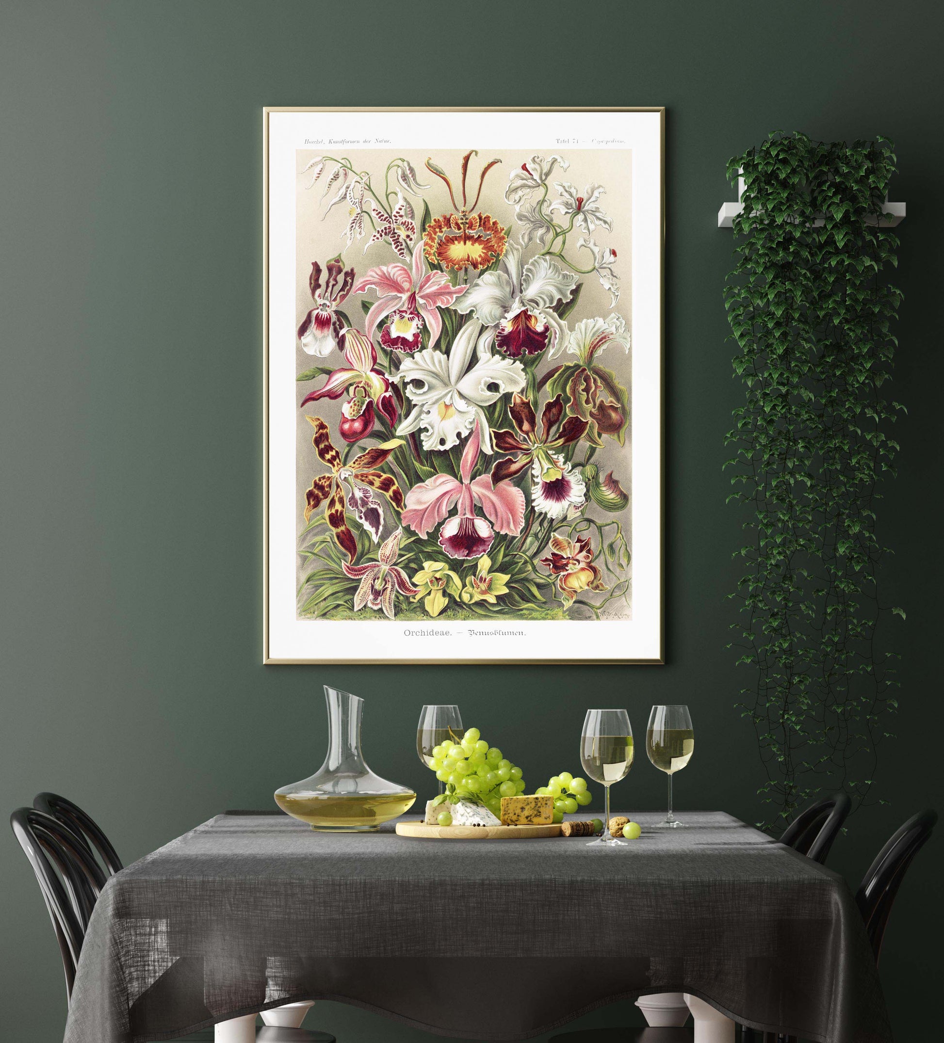 Ernst Haeckel Wall Art - Orchideae Lilly Flowers by Ernst Haeckel Poster with borders