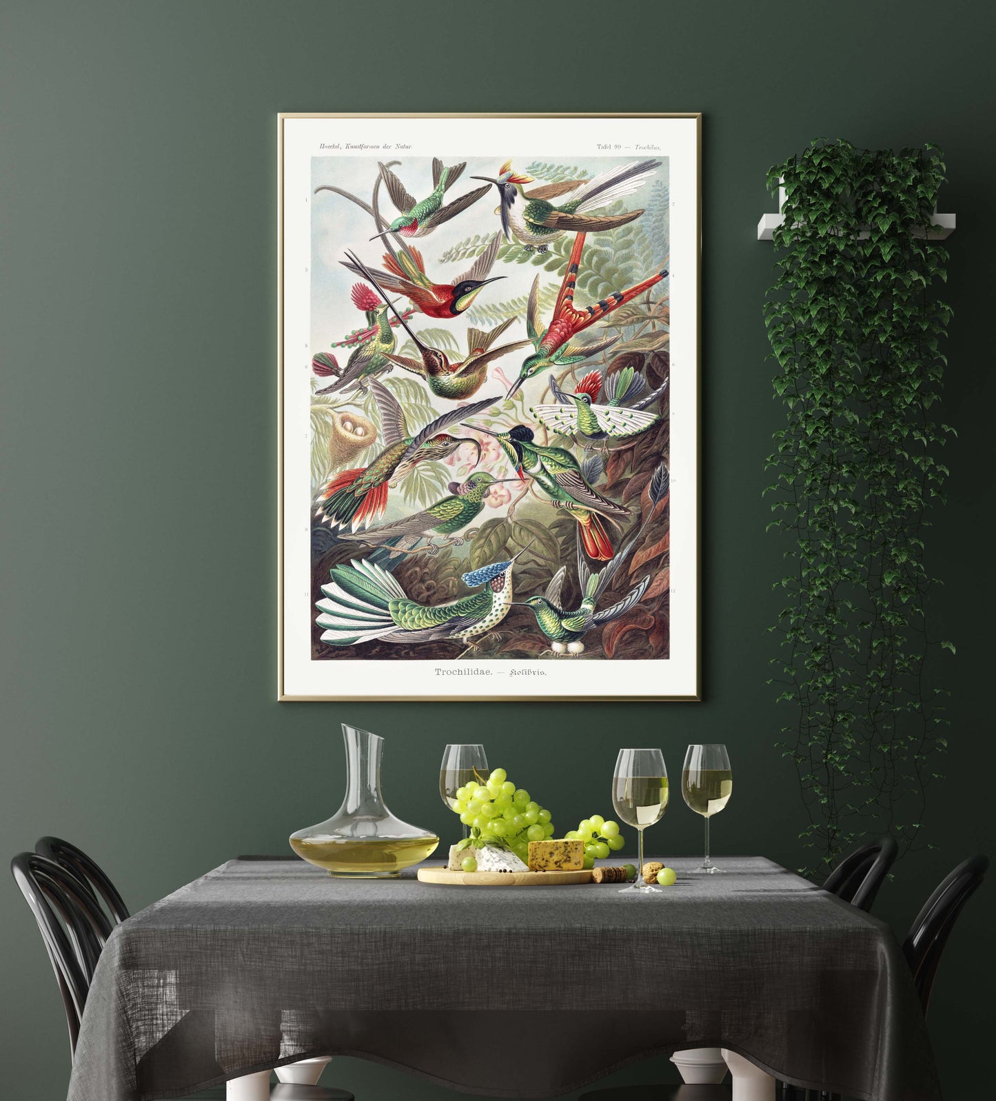 Ernst Haeckel Wall Art - Birds of Paradise by Ernst Haeckel Poster with a white border