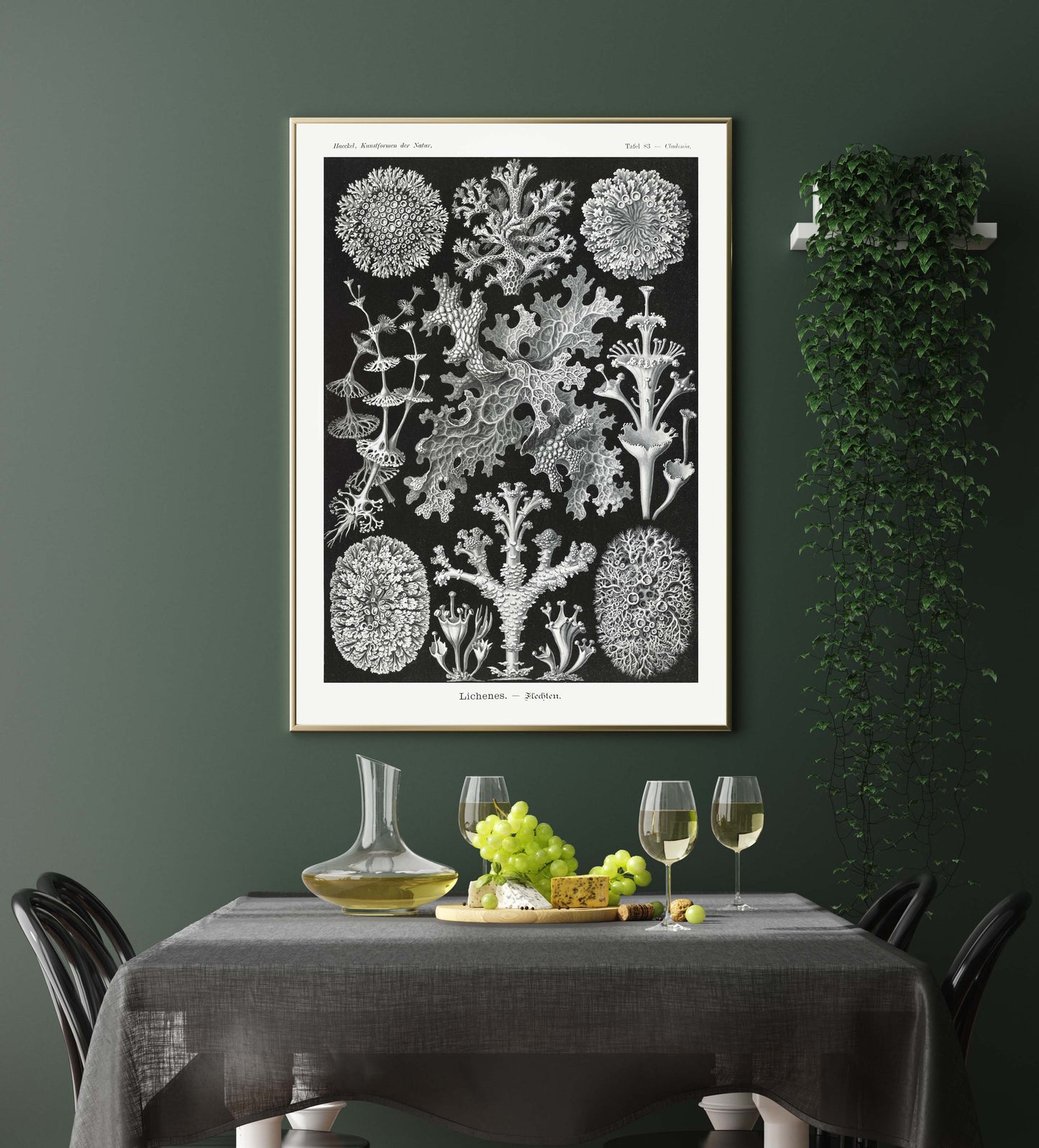 Ernst Haeckel Wall Art - Lichenes by Ernst Haeckel Poster