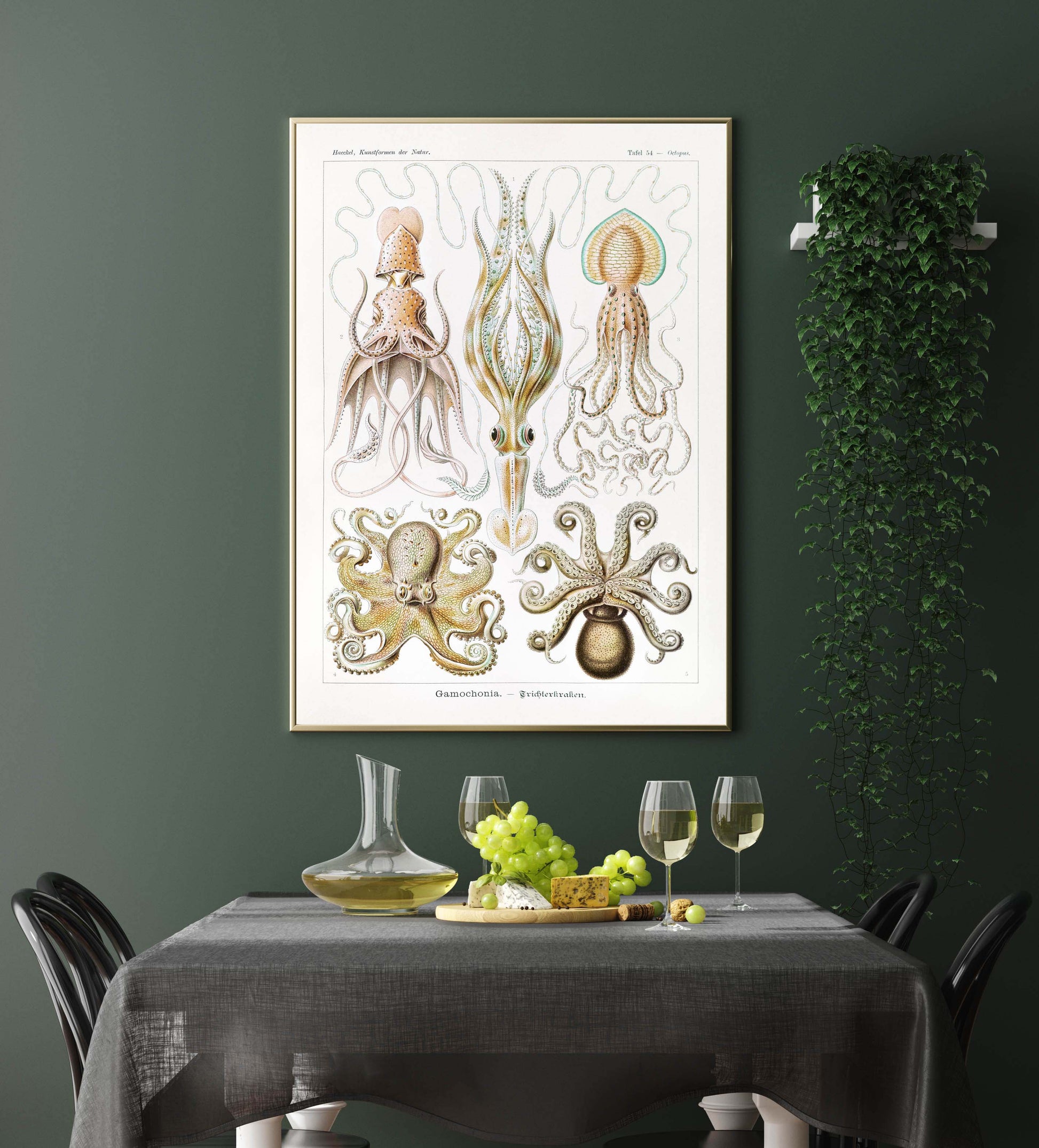 Ernst Haeckel Wall Art - Gamochonia by Ernst Haeckel Poster with borders