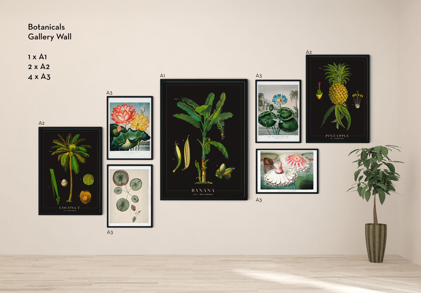 Botanical Art Gallery Wall Set of 7 Poster