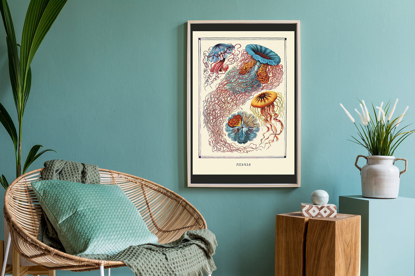 Ernst Haeckel Wall Art - Ernest Haeckel Medusa Poster