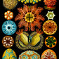 Colourful Corals Embryology by Ernst Haeckel