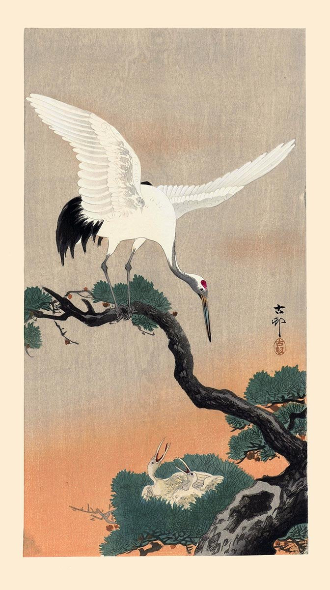 Japanese Crane with babies by Koson