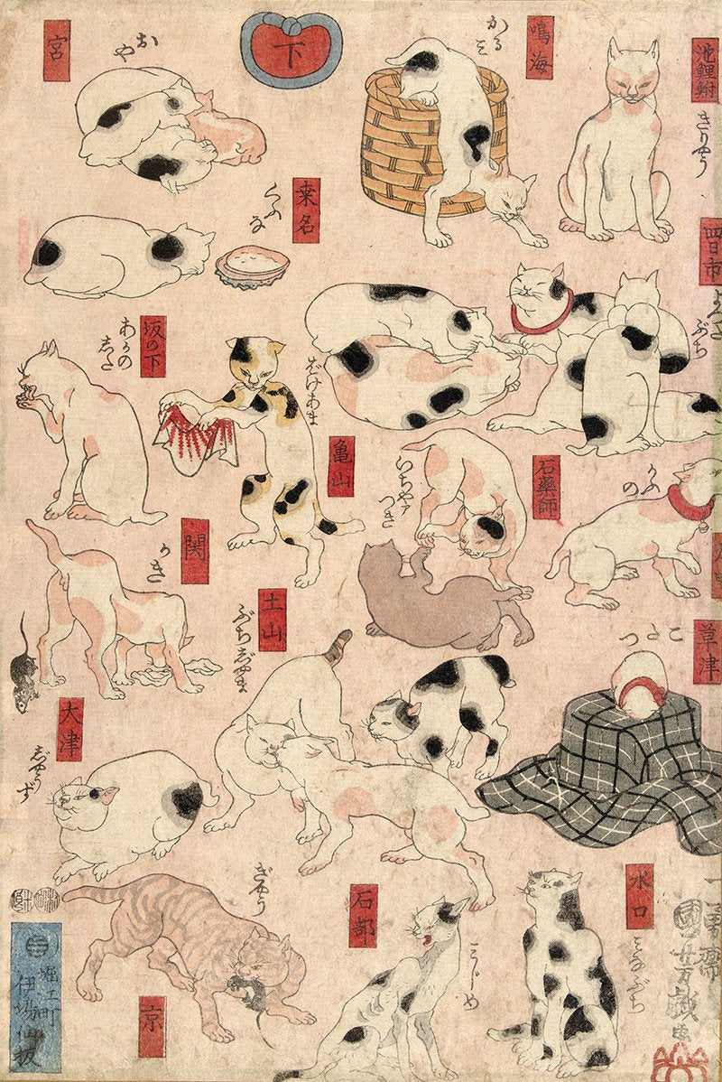 Cats of Tokaido by Kuniyoshi Poster