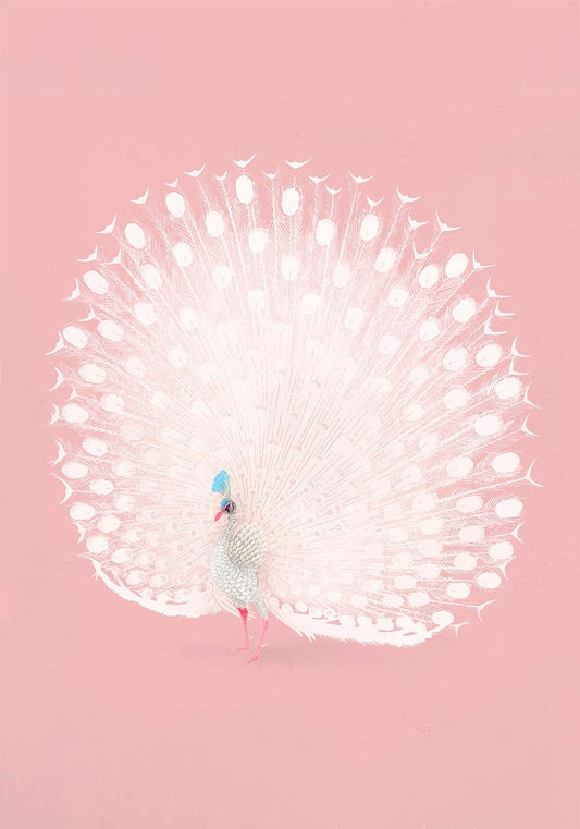 Japanese White Peacock remixed in Pink
