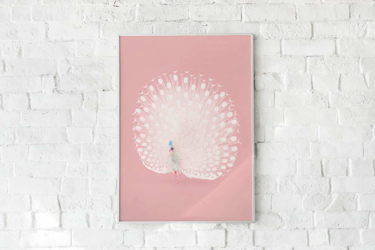 Japanese White Peacock remixed in Pink