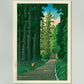 Road to Nikko by Hasui