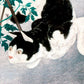 Cat with Tomato Plant by Takahashi Shōtei