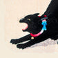 Black Cat by Takahashi Shōtei