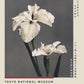 Iris Kæmpferi by Kazumasa Exhibition Poster