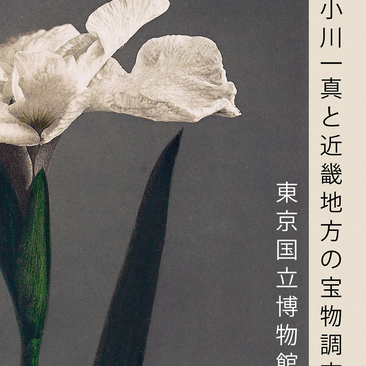 Iris Kæmpferi by Kazumasa Exhibition Poster