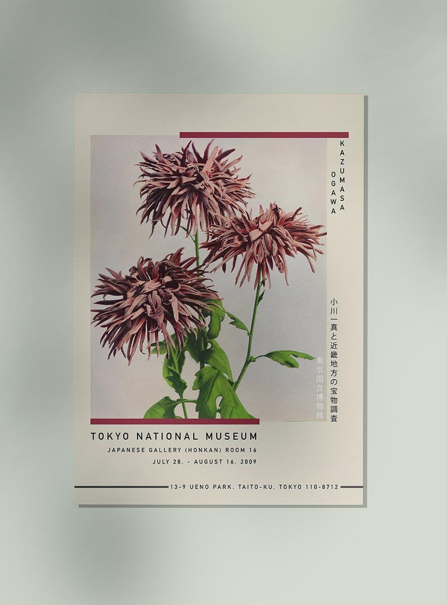 Three Pink Chrysanthemum by Kazumasa Exhibition Poster