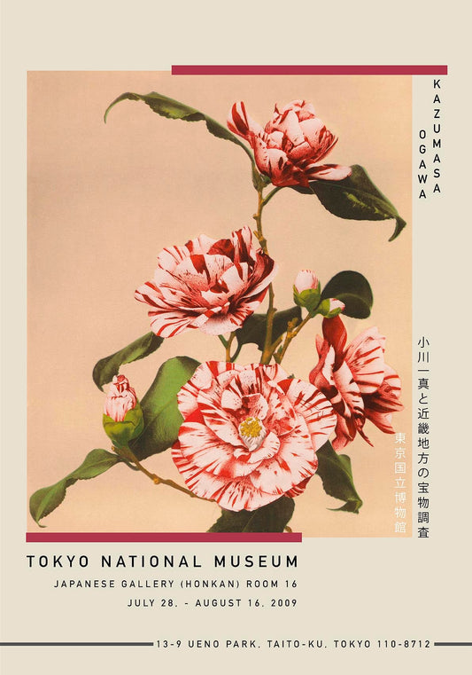 Striped Camellias by Kazumasa Exhibition Poster
