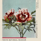 Tree Red Peony by Kazumasa Exhibition Poster