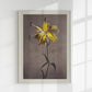 Yellow Lily by Ogawa Kazumasa