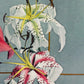 Colorful Lily III by Ogawa Kazumasa