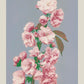 Cherry Blossom by Ogawa Kazumasa