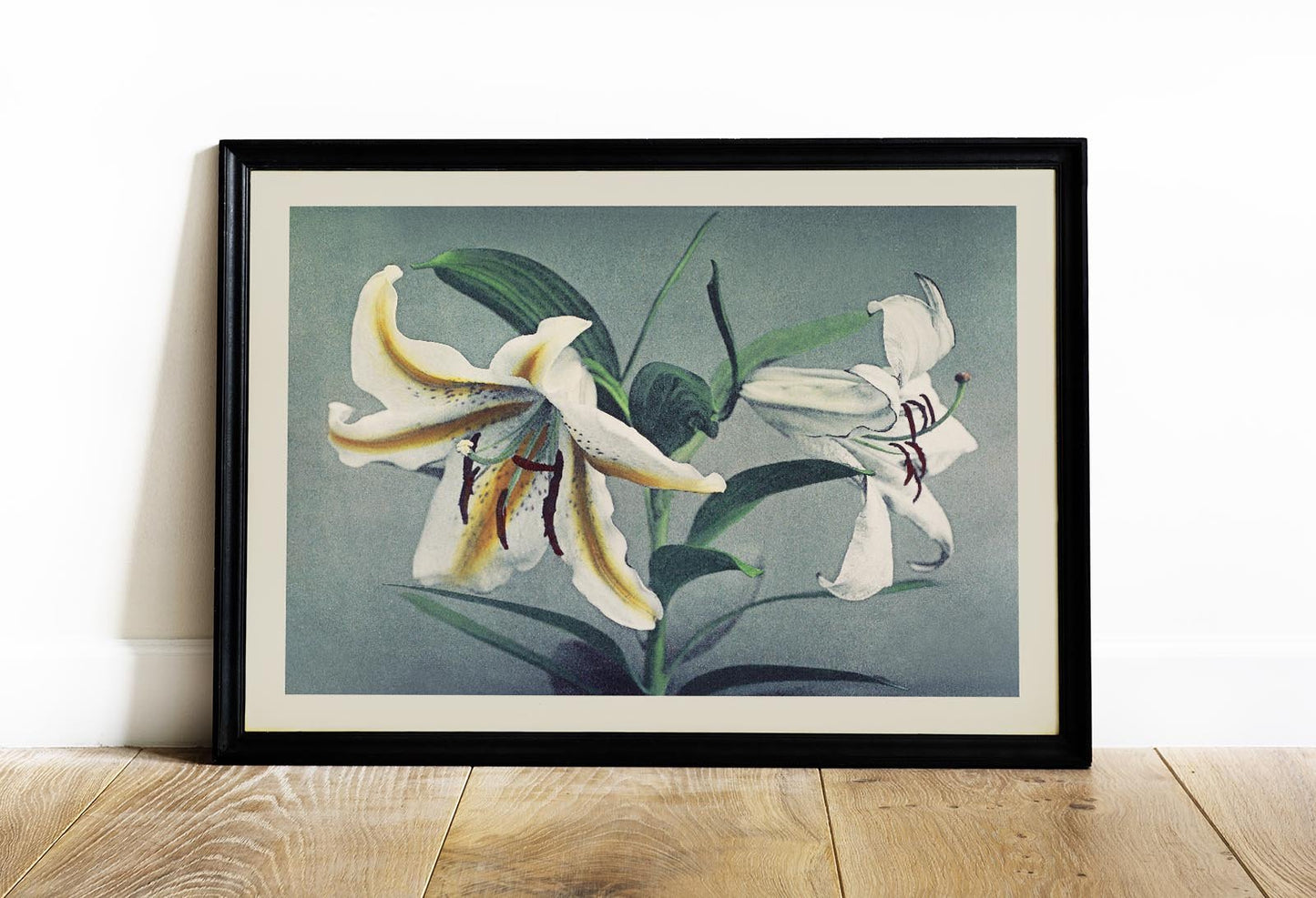White Lily by Ogawa Kazumasa