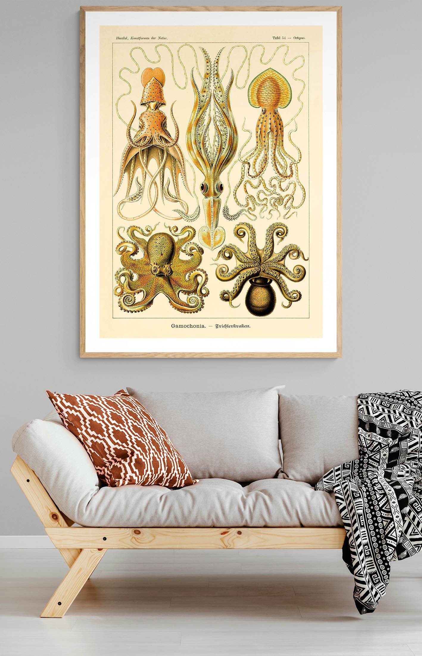 Ernst Haeckel Wall Art - Gamochonia by Ernst Haeckel Poster