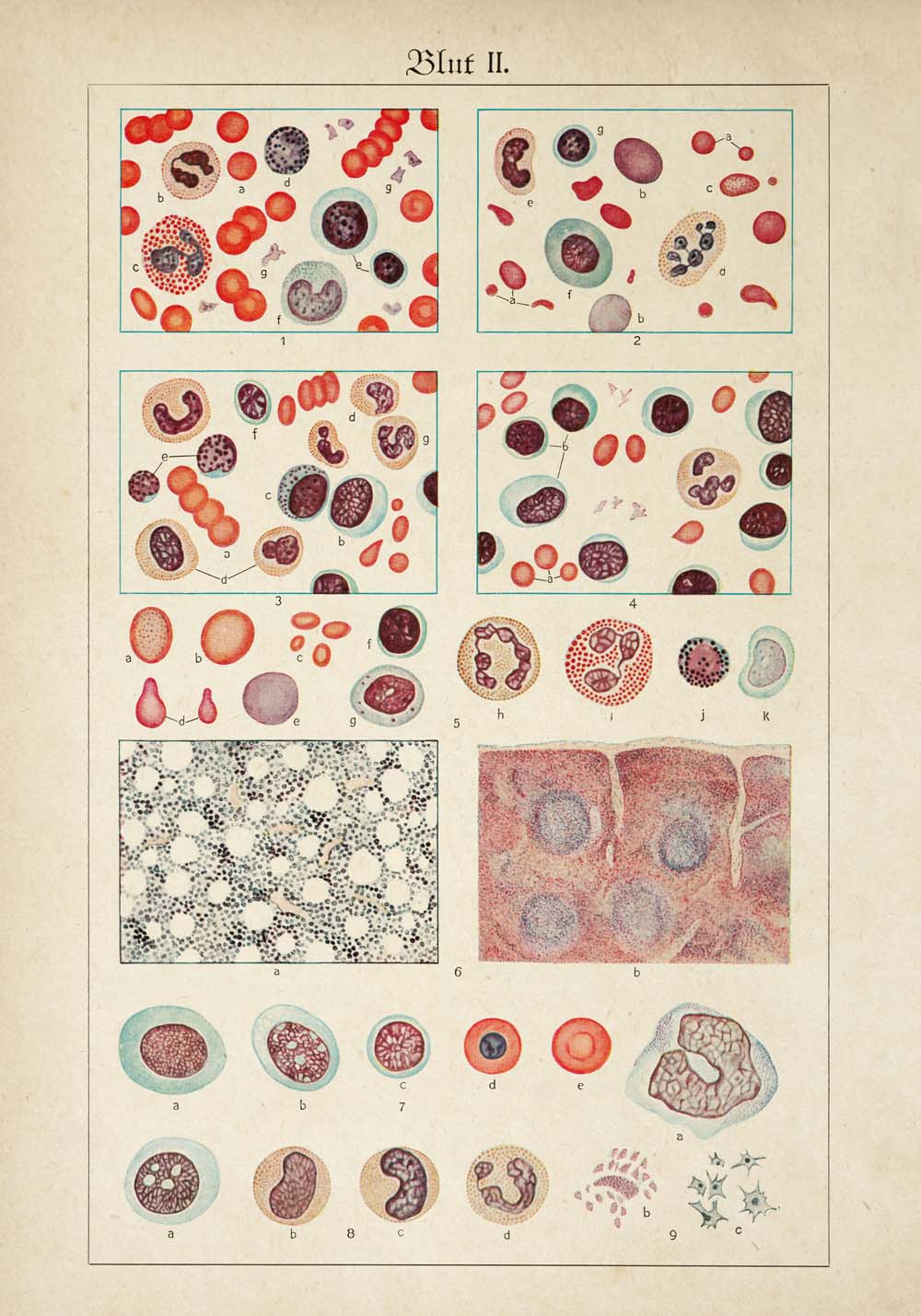 Vintage Anatomy Posters "BLOOD" Set of 3 Prints